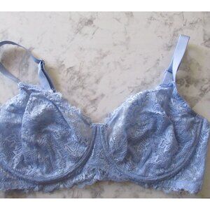 HSIA Bra 38DDD Blue Lace Sheer Back Closure Underwire